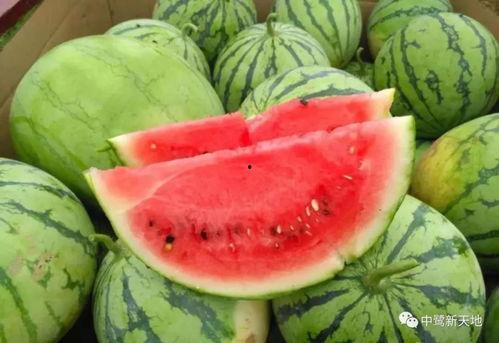 莱州今日吃瓜爆料视频  第1张